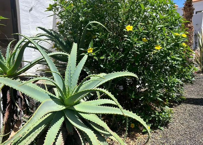 Gala Appartamento Corralejo