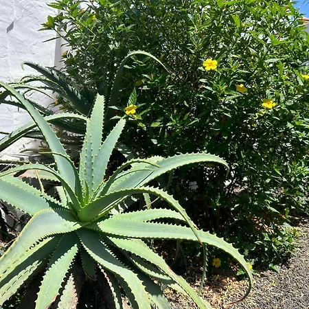 Gala Appartement Corralejo