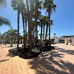 Gala