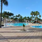 Gala Apartment *
